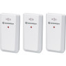 Гигрометр BRESSER Clima Temp IO Jumbo (2 шт.) 76454